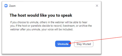 Zoom toolbar with Unmute button highlighted